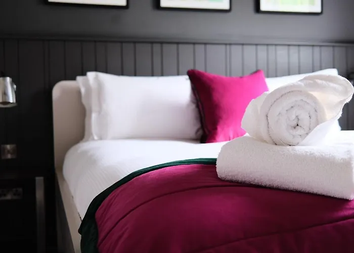 劳伦斯奢华公寓 -